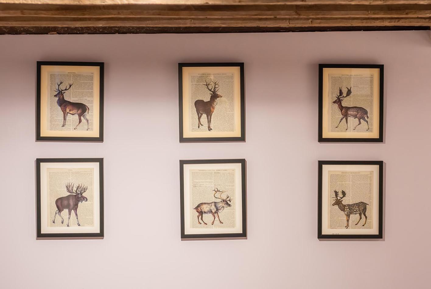 The White Horse, Rogate Hotel ปีเตอร์สฟิลด์ ภายนอก รูปภาพ